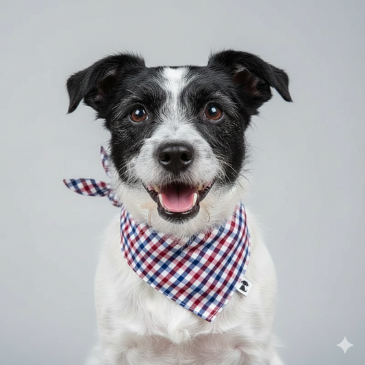 Bandana Leo