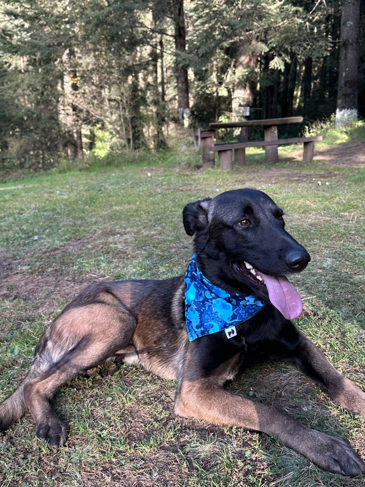 Bandana Kunda
