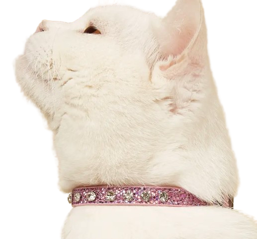Collar de brillos