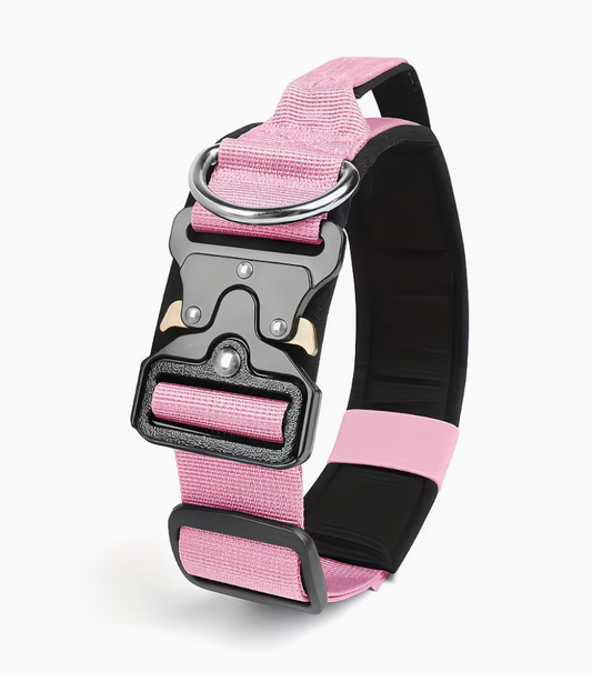 Collar de nylon