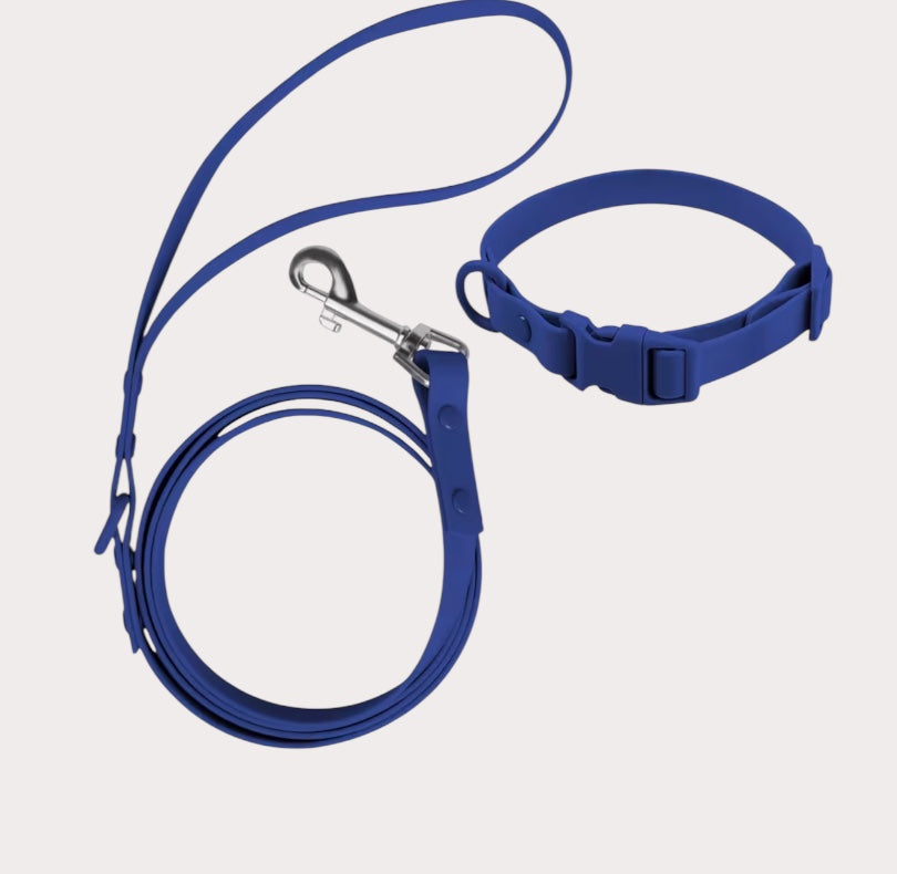 Correa y collar de silicón