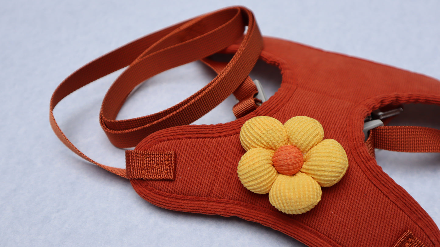 Conjunto de arnés y correa "petite"