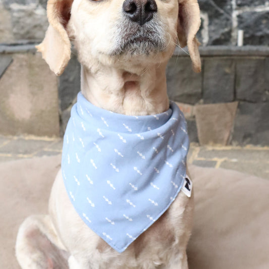 Bandana Max