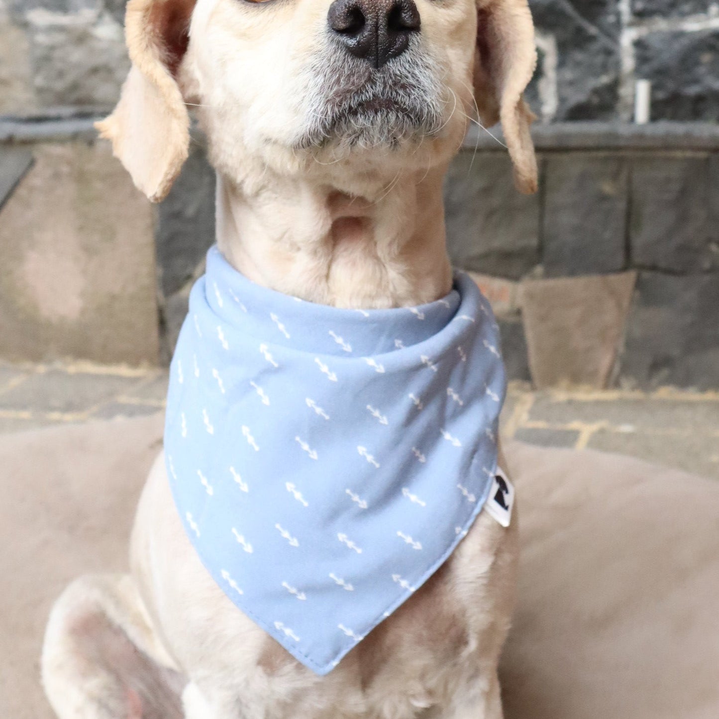 Bandana Max