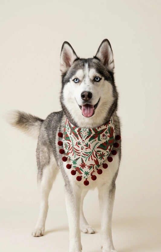 Bandana patria