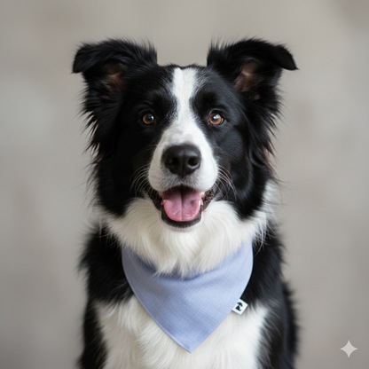 Bandana Loto