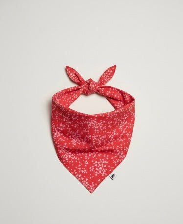 Bandana Kiss