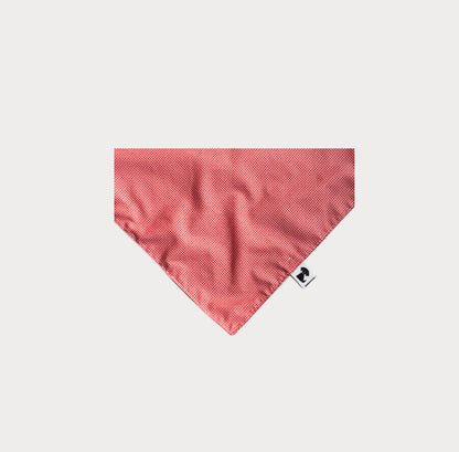 Bandana Milo