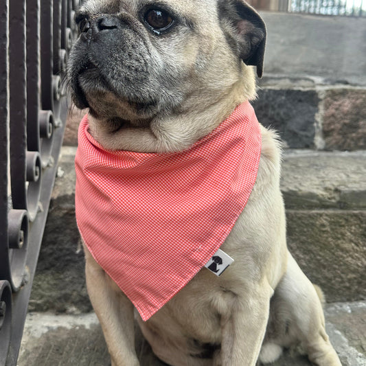 Bandana Milo
