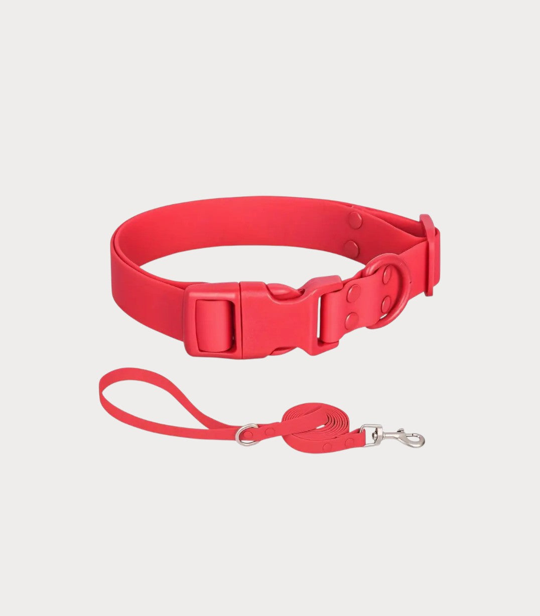 Correa y collar de silicón