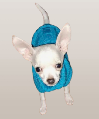 Sueter tejido azul "petite"