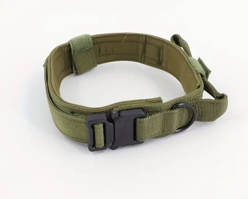 Collar de naylon de entrenamiento