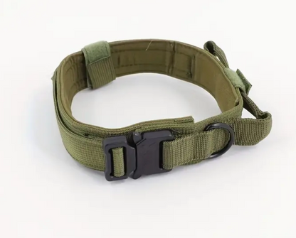 Collar de naylon de entrenamiento