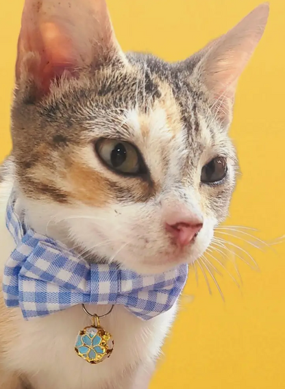 Collar de moño