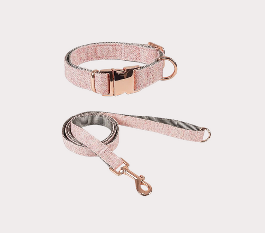 Correa y collar de tela