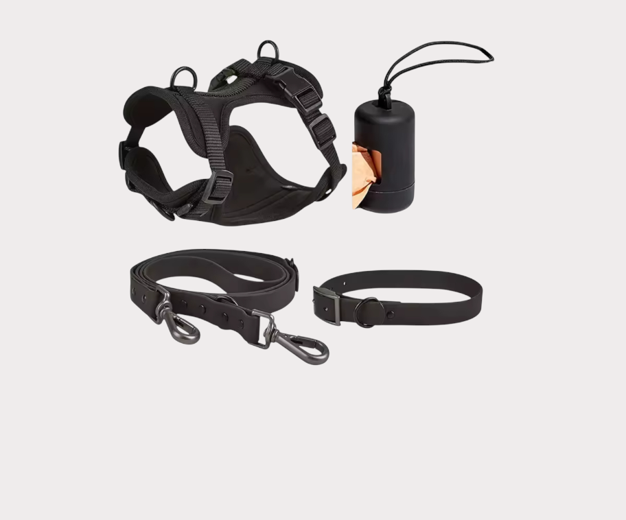 Kit Essential Walk