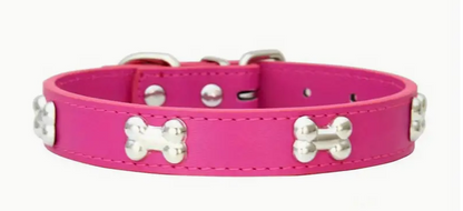 Collar de perro para mascotas de cuero