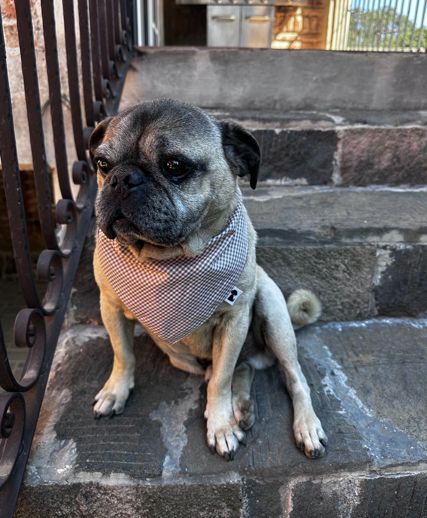 Bandana Ciro