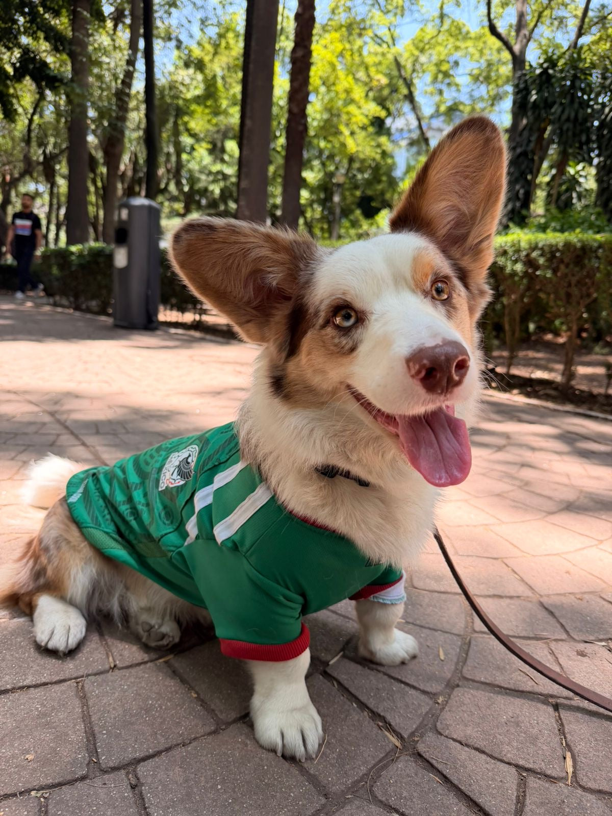 Jersey Selección Mexicana