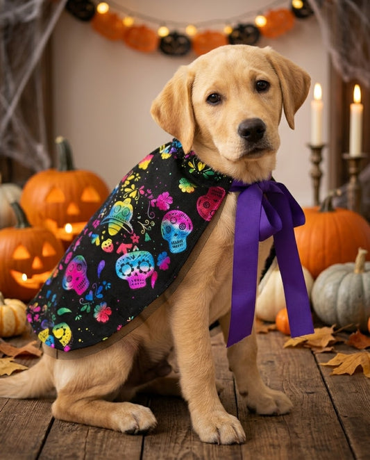 Capa de Halloween