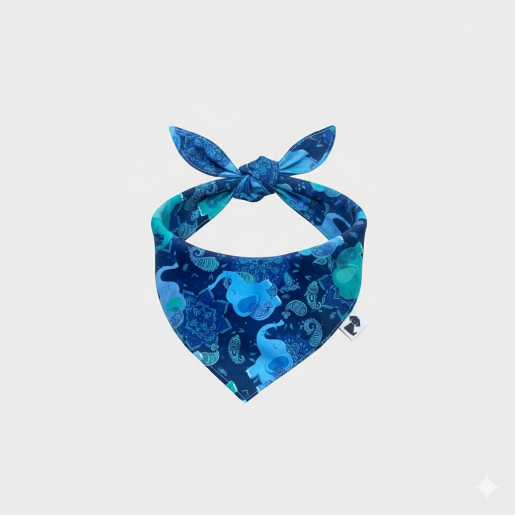 Bandana Chitta