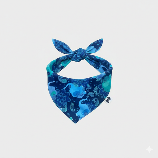 Bandana Chitta