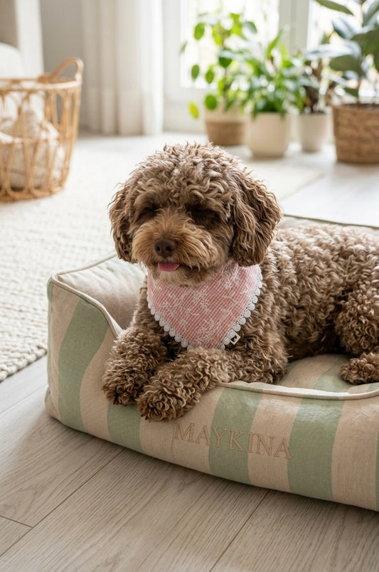 Bandana Ari