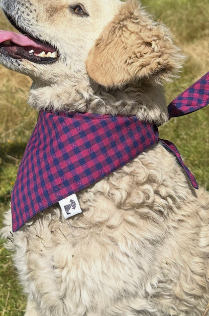 Bandana Theo
