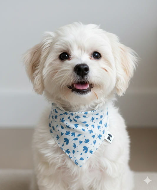 Bandana Tulipán