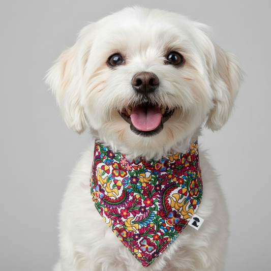 Bandana Chipre