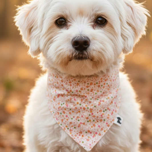 Bandana Mandarina