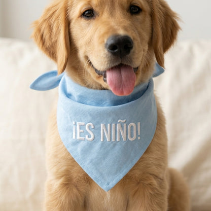 Bandana ¡Es niño!