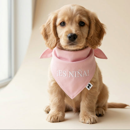 Bandana ¡Es niña!