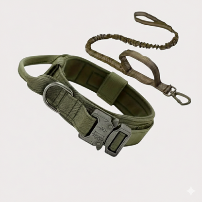 Collar y correa de nylon