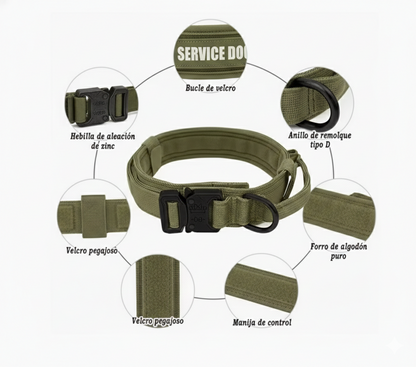 Collar y correa de nylon