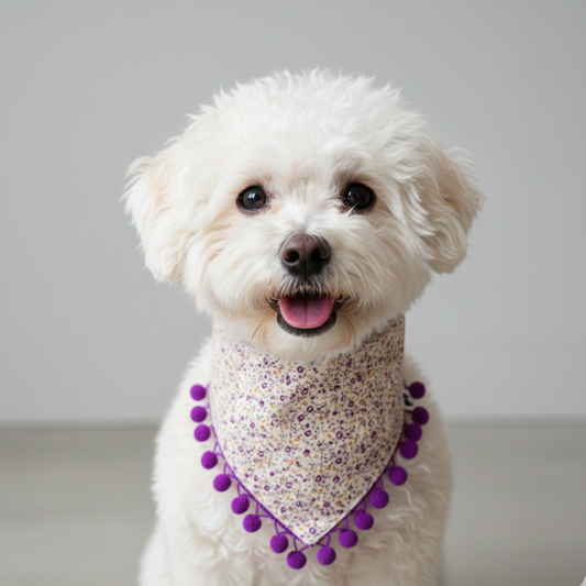 Bandana Bugambilia
