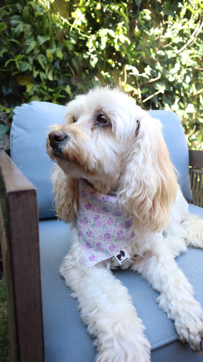 Bandana Violeta