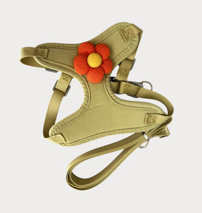 Set de flor"petite"