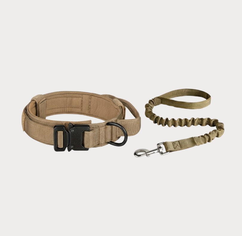 Collar y correa de nylon
