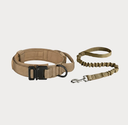 Collar y correa de nylon
