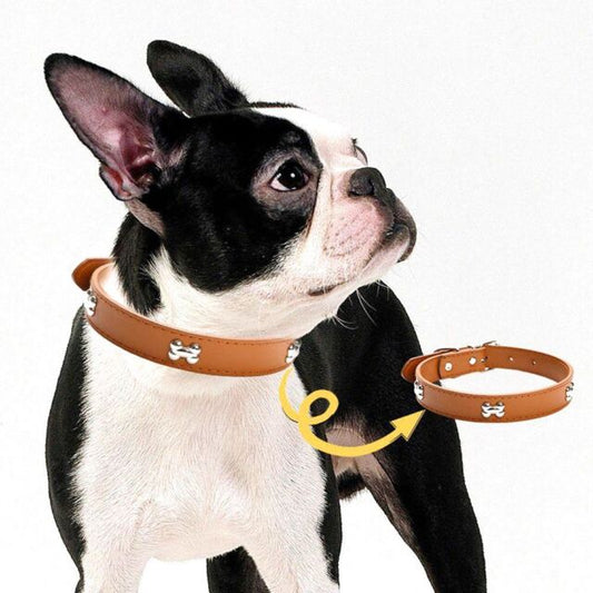 Collar de perro para mascotas de cuero