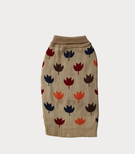 Sueter otoño