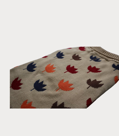 Sueter otoño